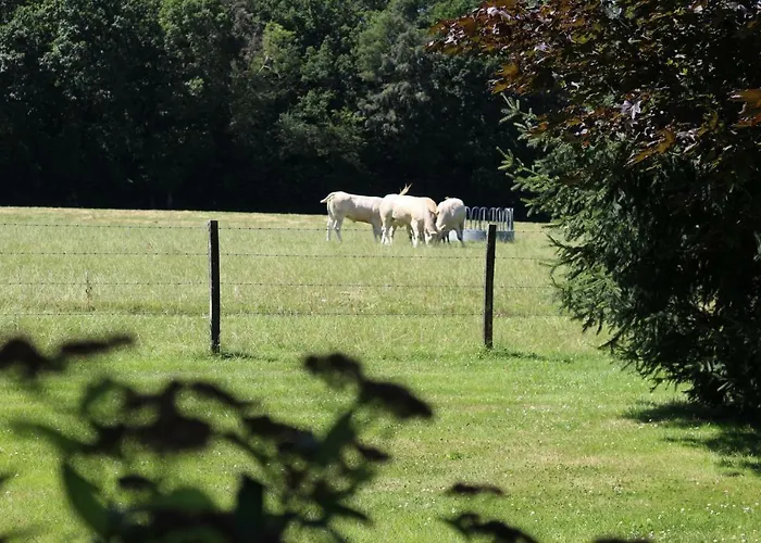 Rand'hotes Les Genettes